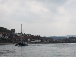 whitby 5
