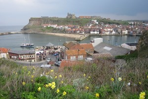 whitby 6